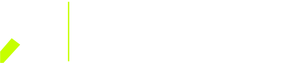 Bvision LT Driver Edition